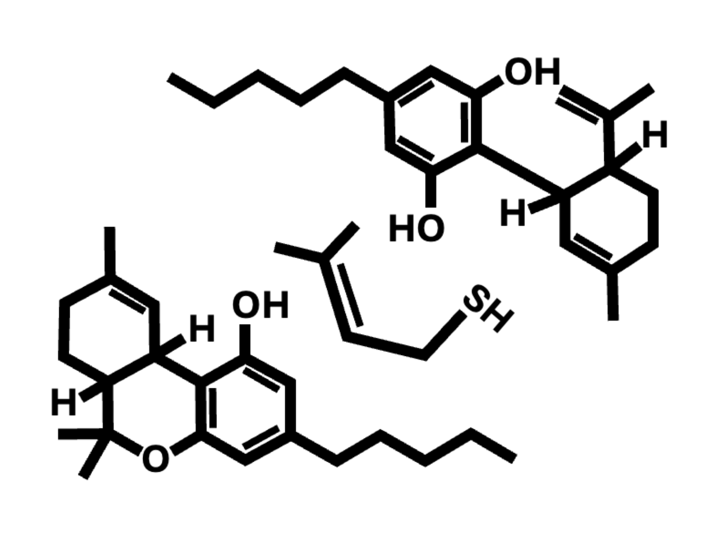 Cannabisdblogo